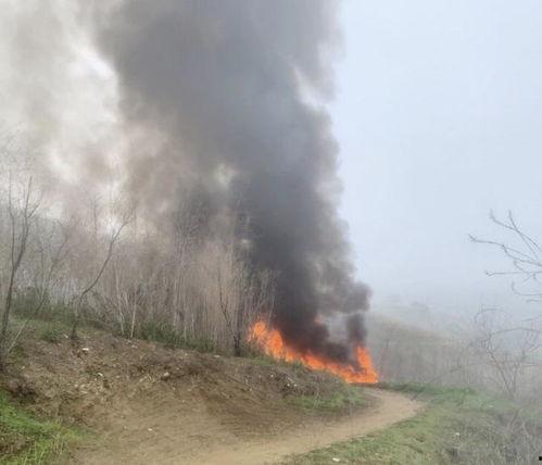 天涯最新爆料坠机事件,最新坠机事件背后惊人内幕曝光