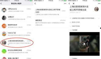 独家最新爆料小程序小说,小程序小说背后的秘密世界