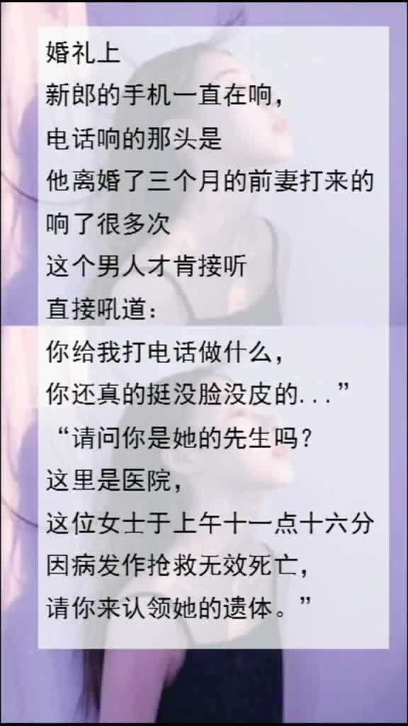 小助理最新爆料小说,小说世界背后的秘密风云