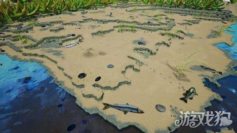 地下蚁国最新爆料,最新爆料揭示神秘蚁群世界